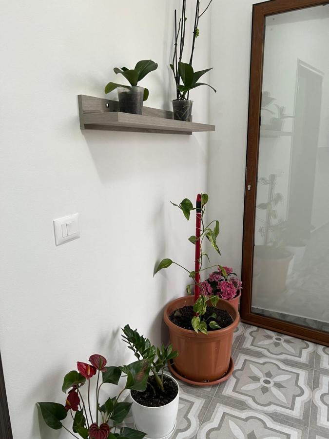 Villa Rreze Dielli Avlonya Dış mekan fotoğraf